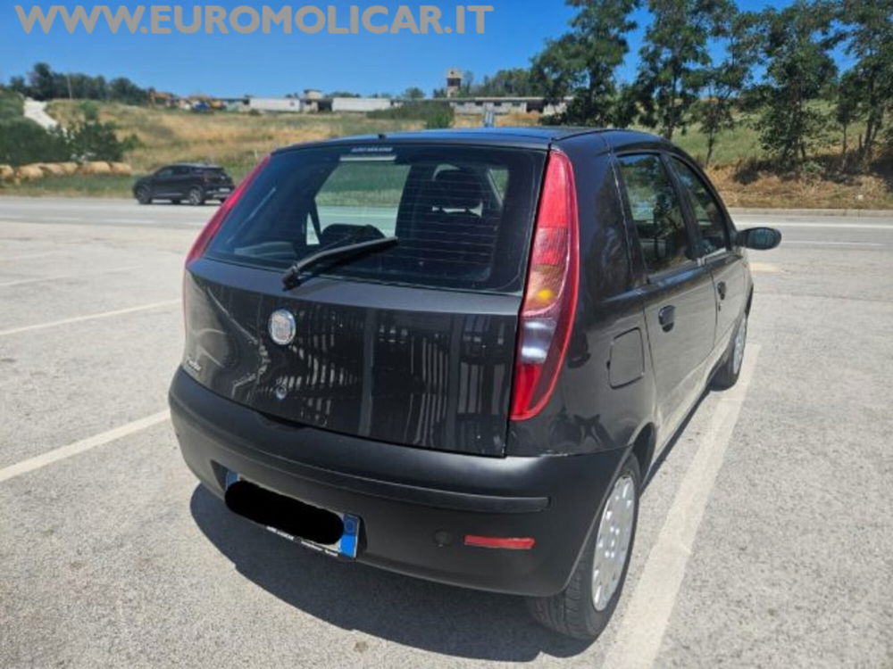 Fiat Punto Classic usata a Campobasso (8)