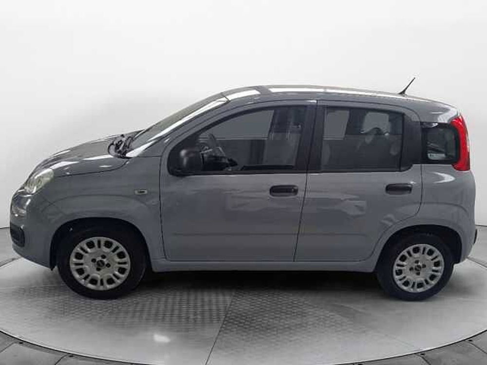 Fiat Panda usata a Siena (2)