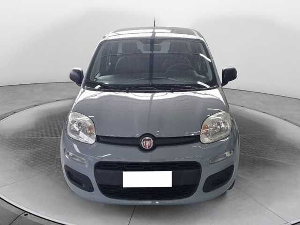 Fiat Panda usata a Siena (3)