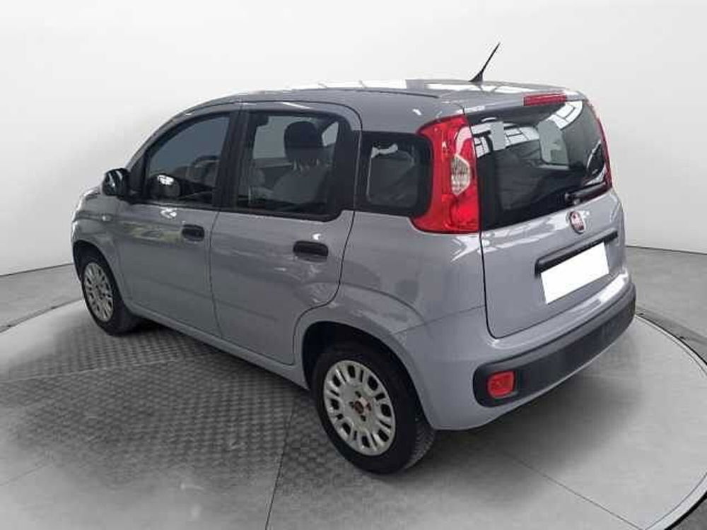 Fiat Panda usata a Siena (5)