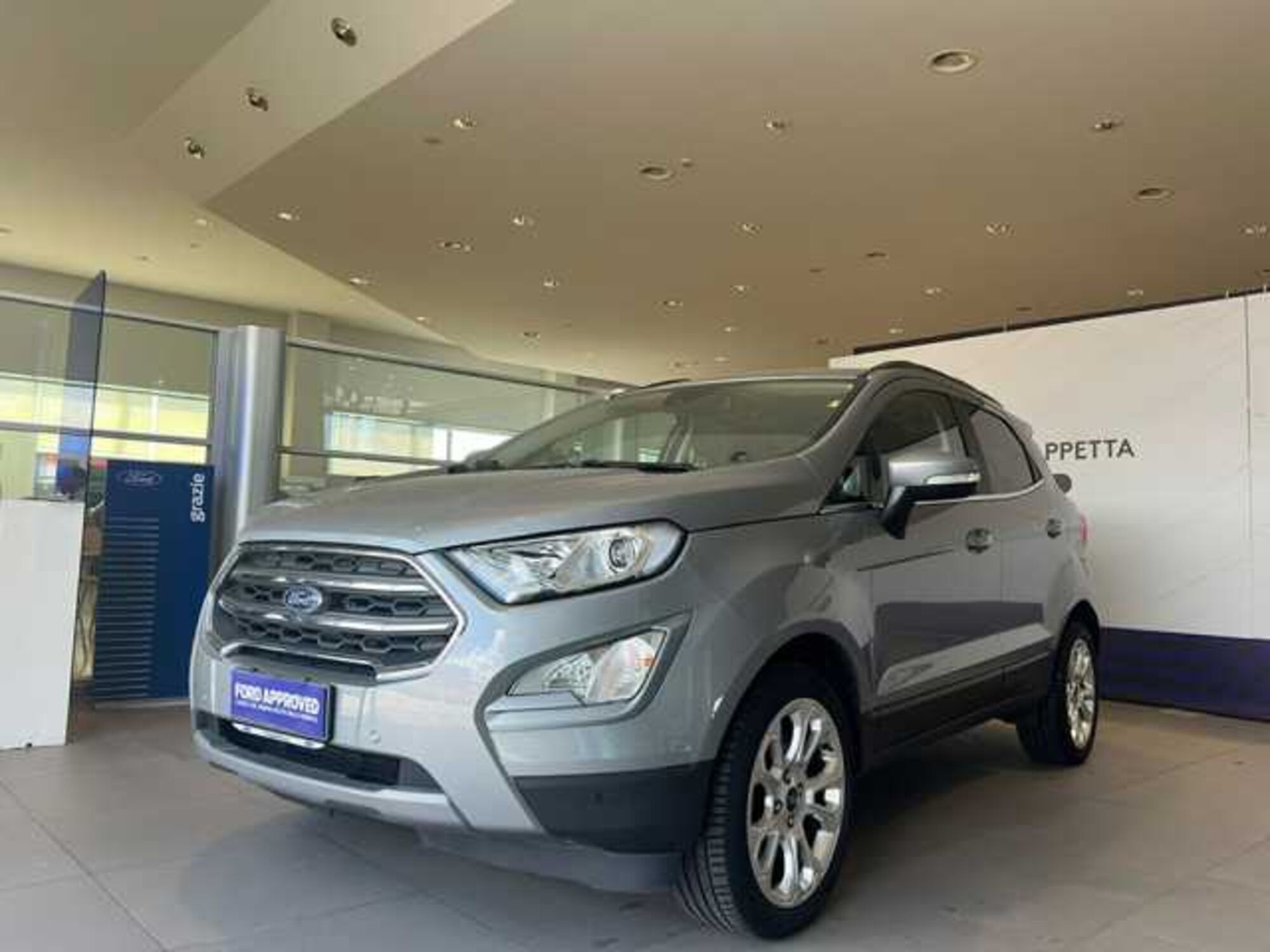 Ford EcoSport 1.0 EcoBoost 125 CV Titanium  del 2021 usata a Rende