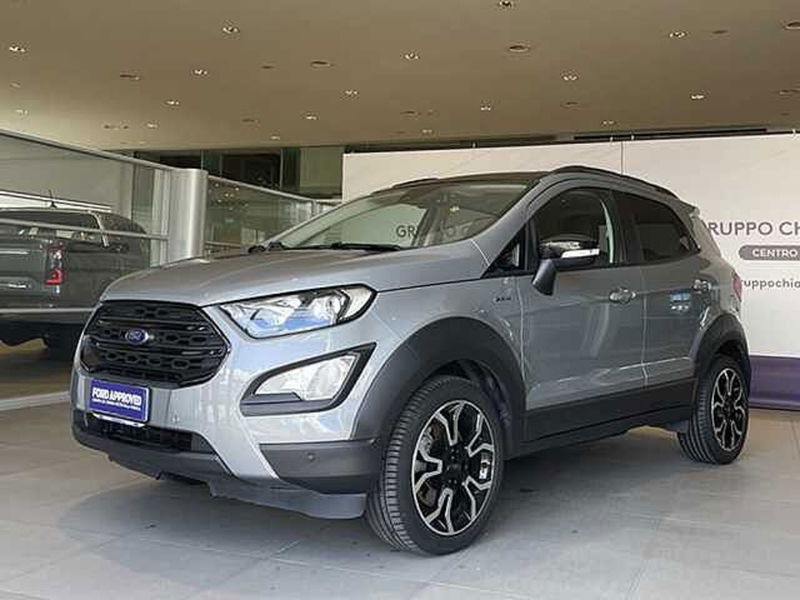 Ford EcoSport 1.0 EcoBoost 125 CV Start&amp;Stop Active del 2021 usata a Rende