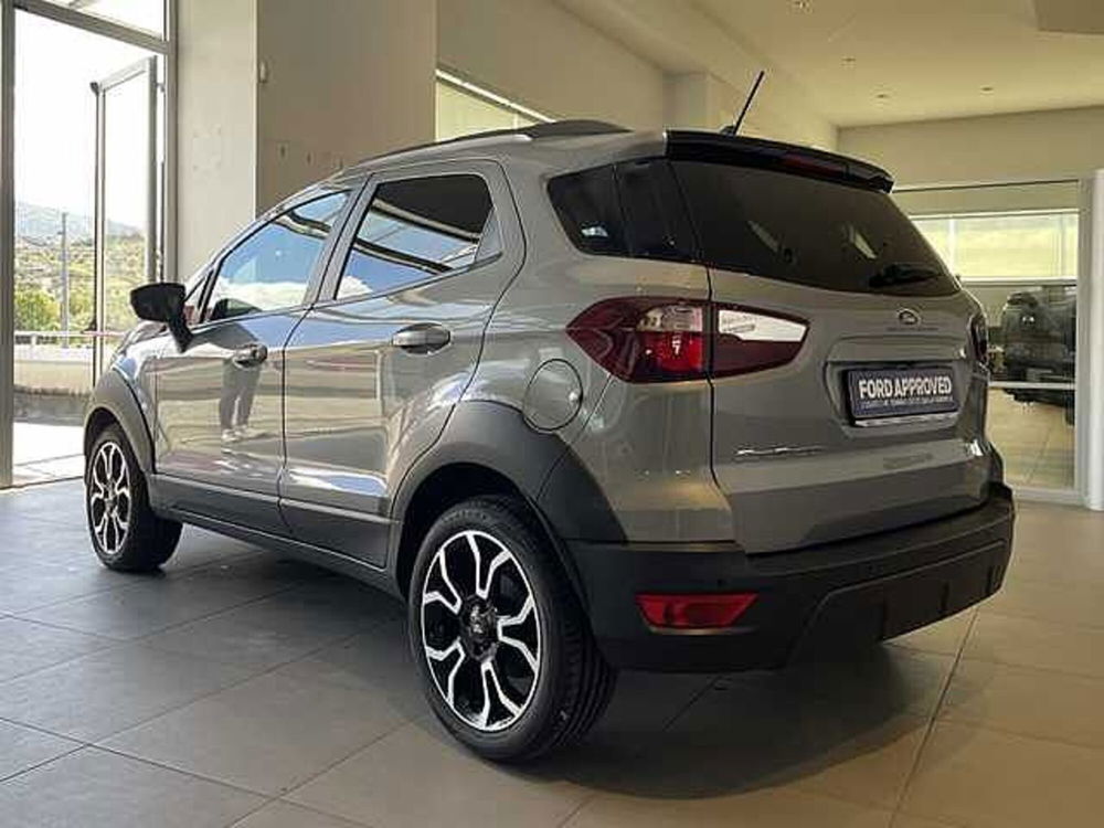 Ford EcoSport usata a Cosenza (4)