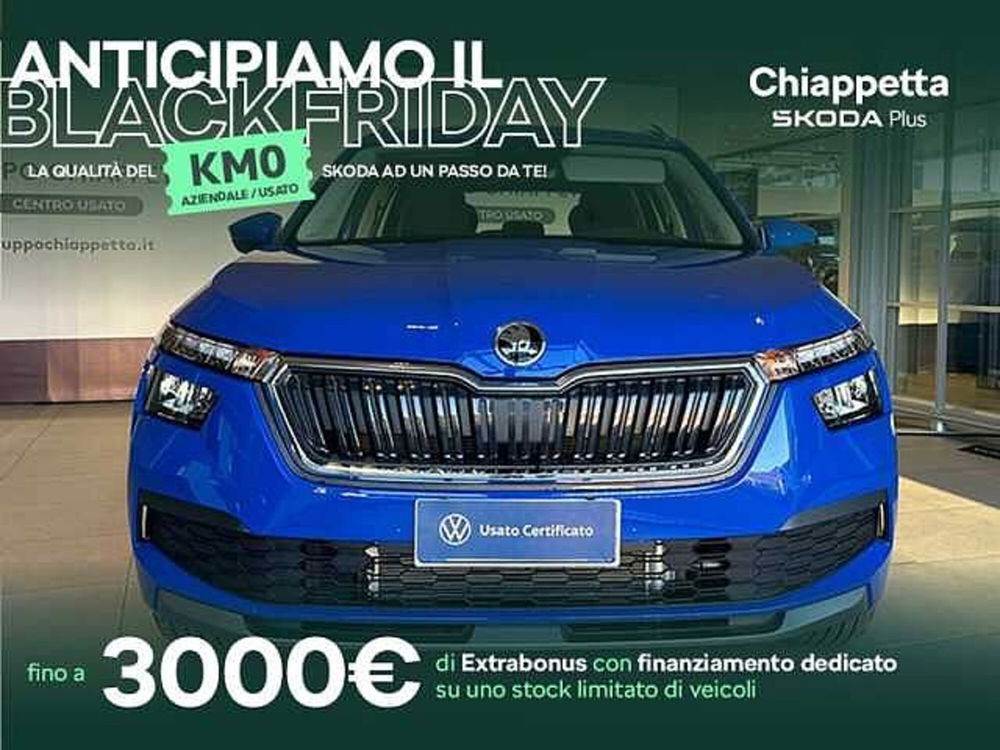 Skoda Kamiq usata a Cosenza (2)