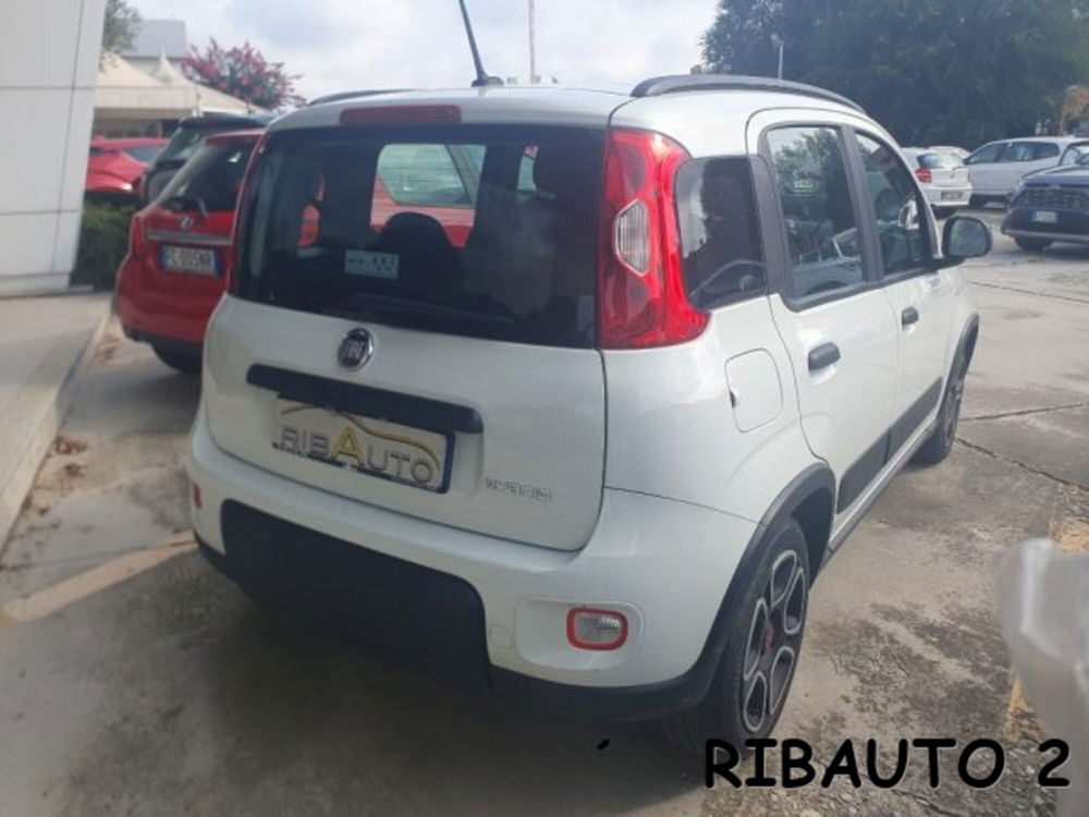 Fiat Panda usata a Cuneo (6)