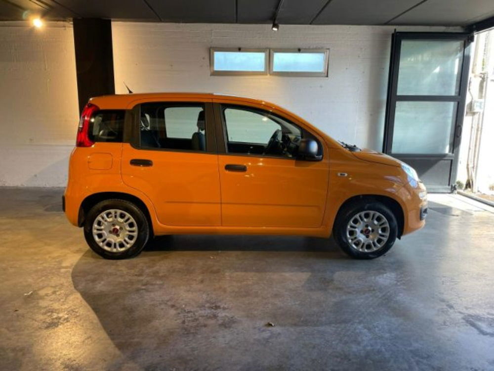 Fiat Panda usata a Perugia (8)