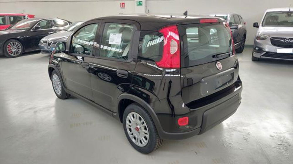 Fiat Panda nuova a Brescia (5)