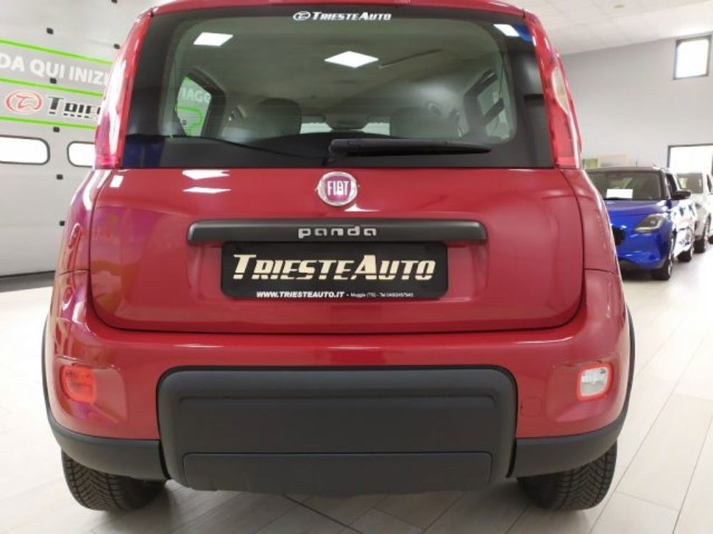 Fiat Panda usata a Trieste (4)