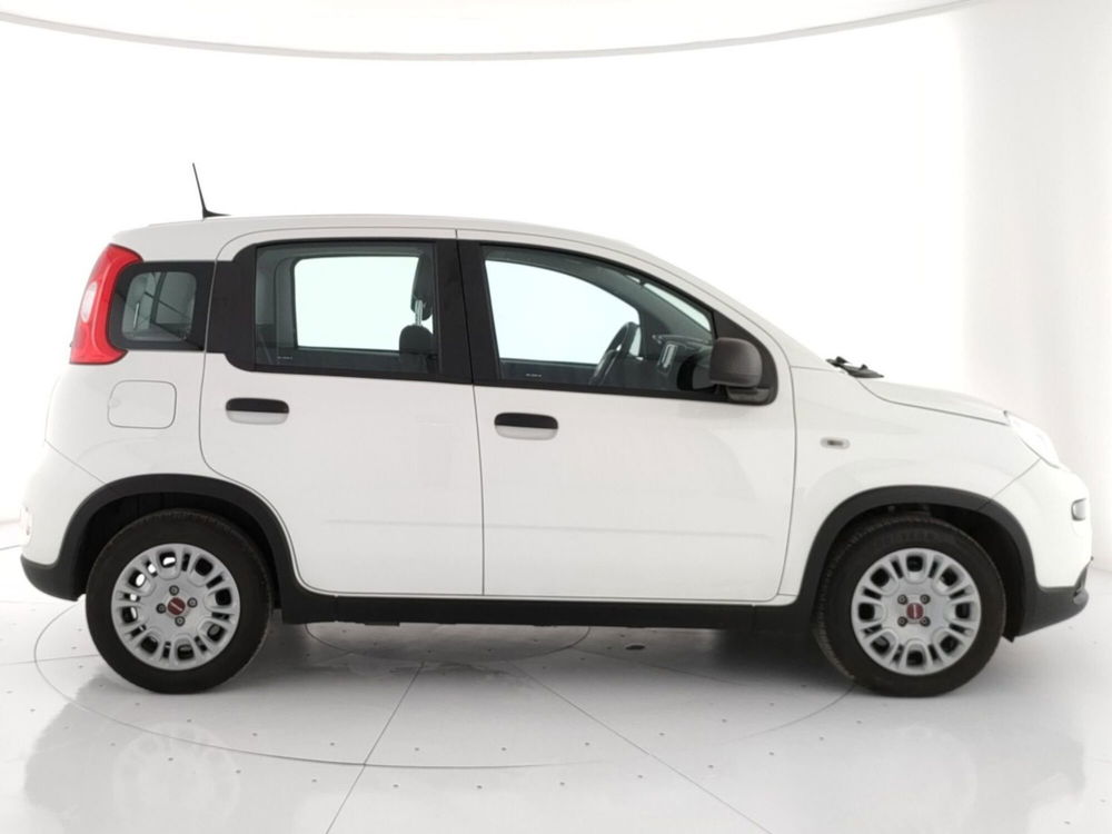 Fiat Panda usata a Roma (3)