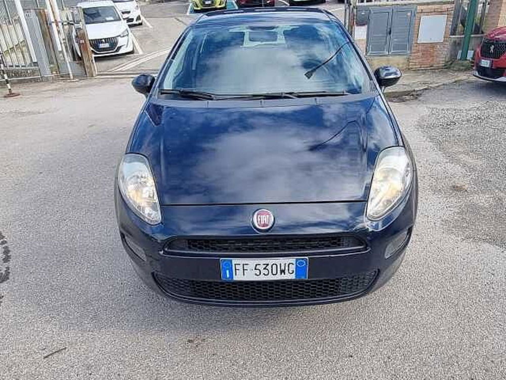 Fiat Punto usata a Siena (3)