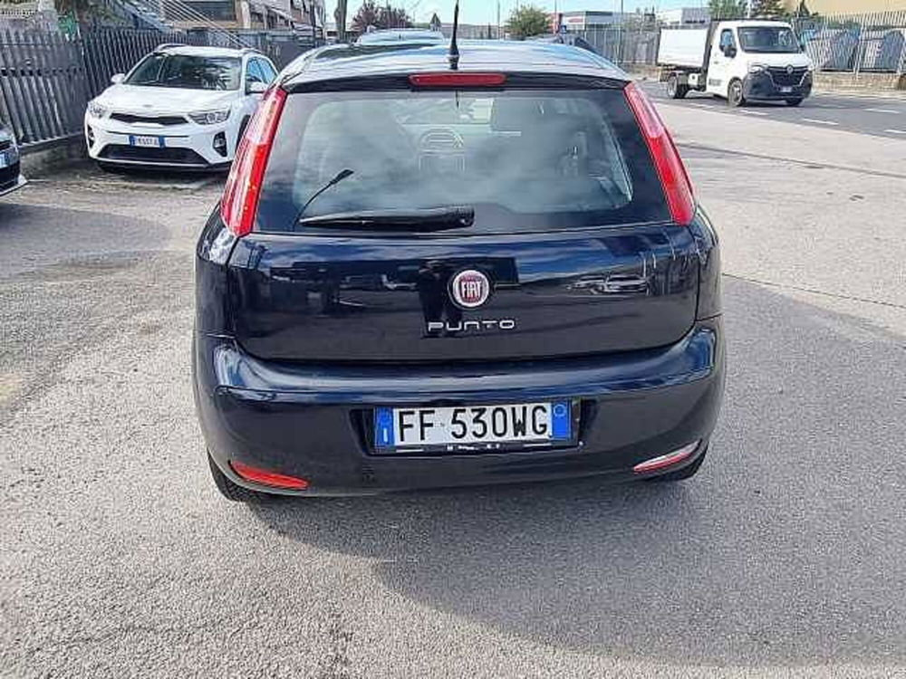 Fiat Punto usata a Siena (4)