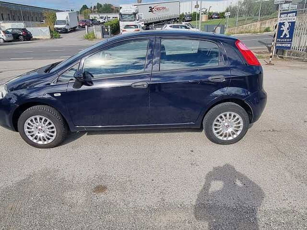 Fiat Punto usata a Siena (5)