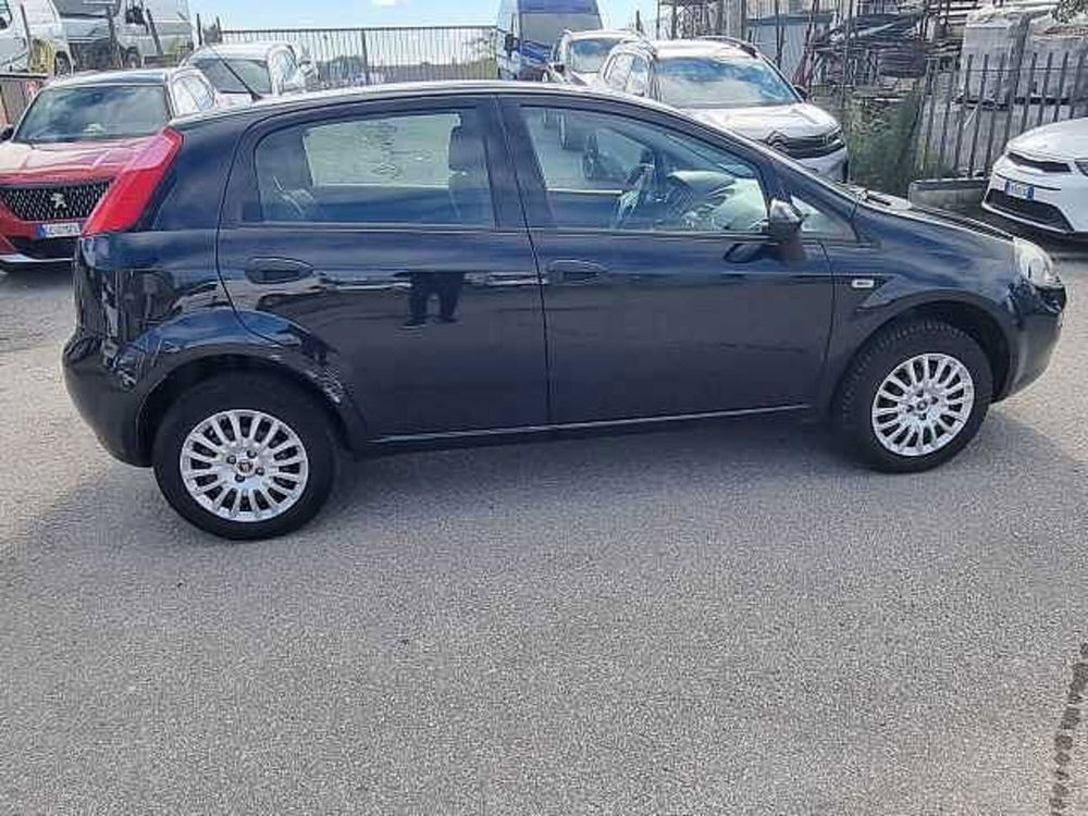 Fiat Punto usata a Siena (6)