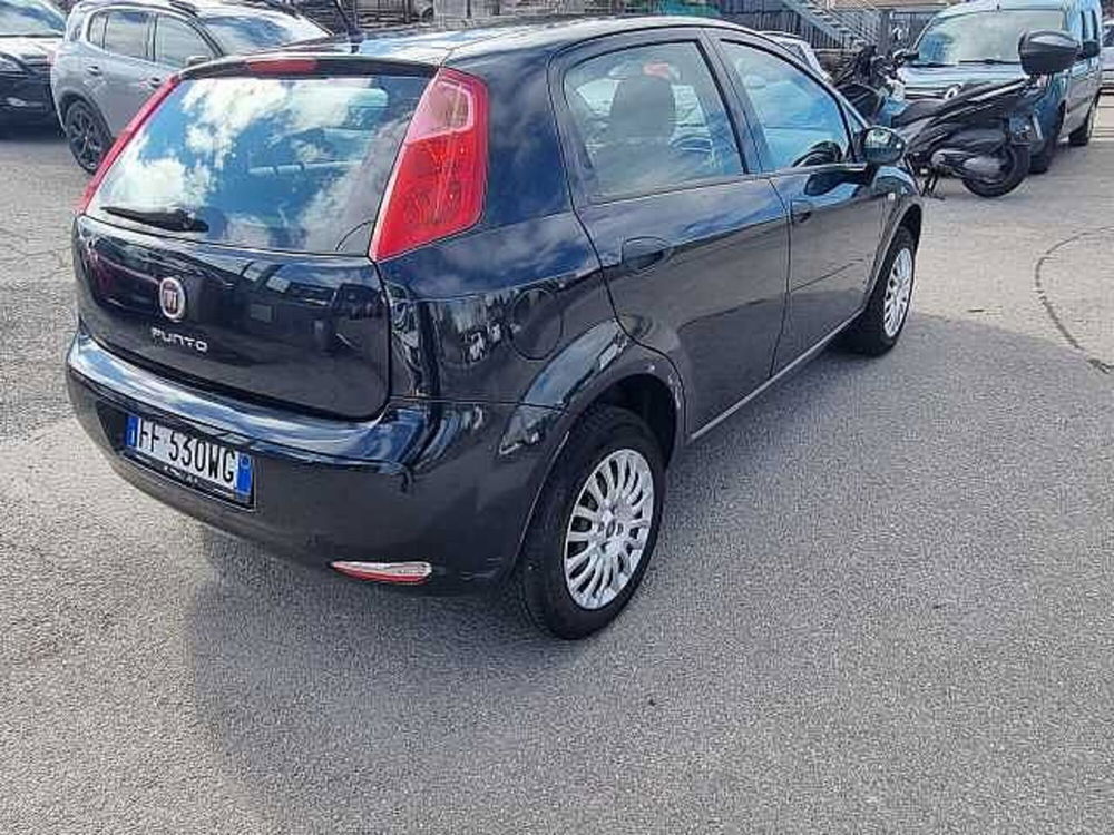 Fiat Punto usata a Siena (7)