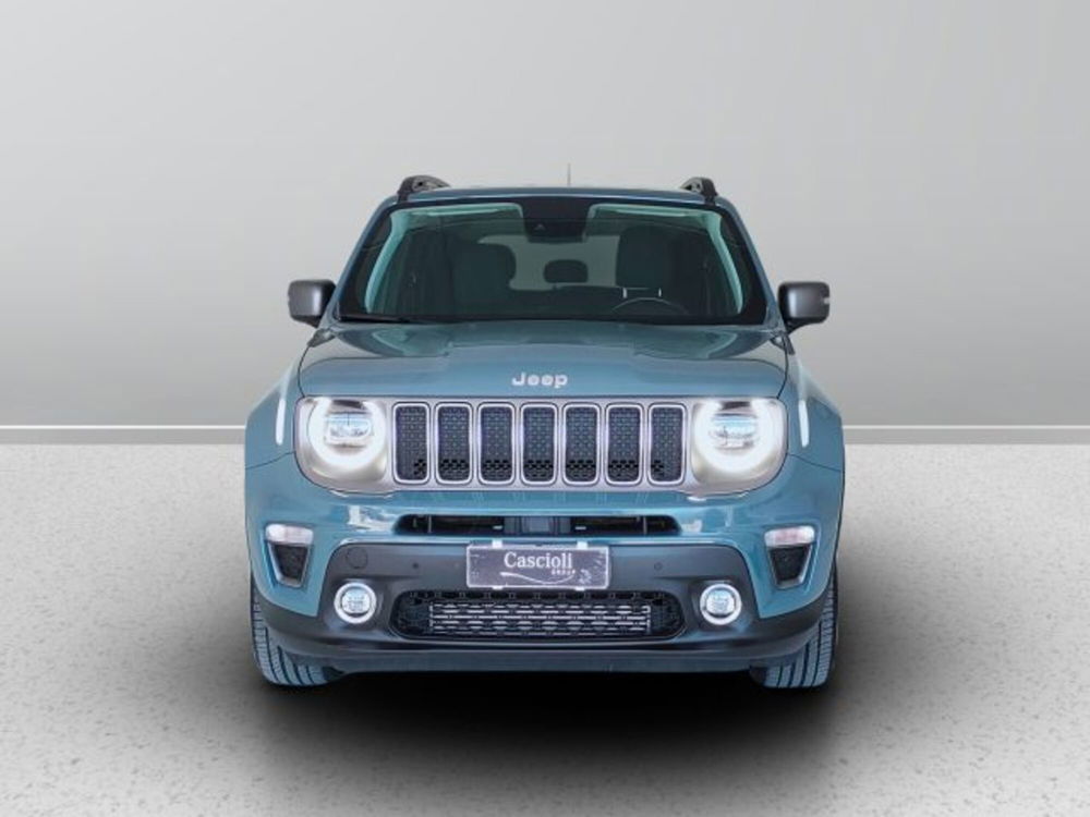 Jeep Renegade usata a Teramo (2)