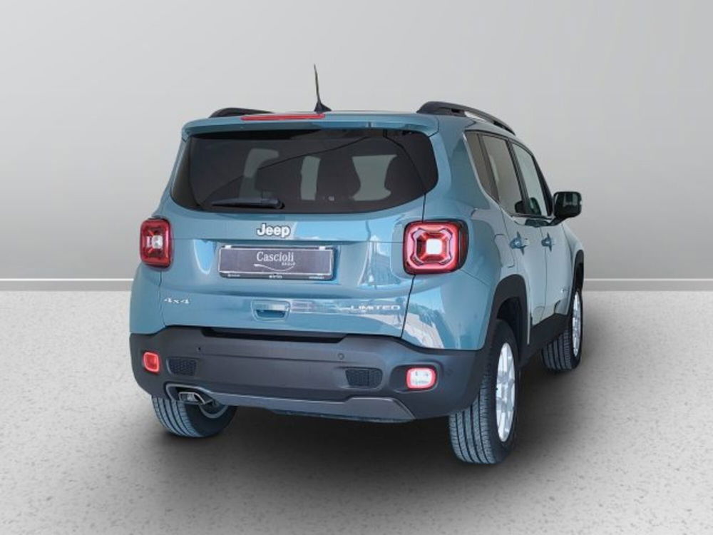 Jeep Renegade usata a Teramo (6)