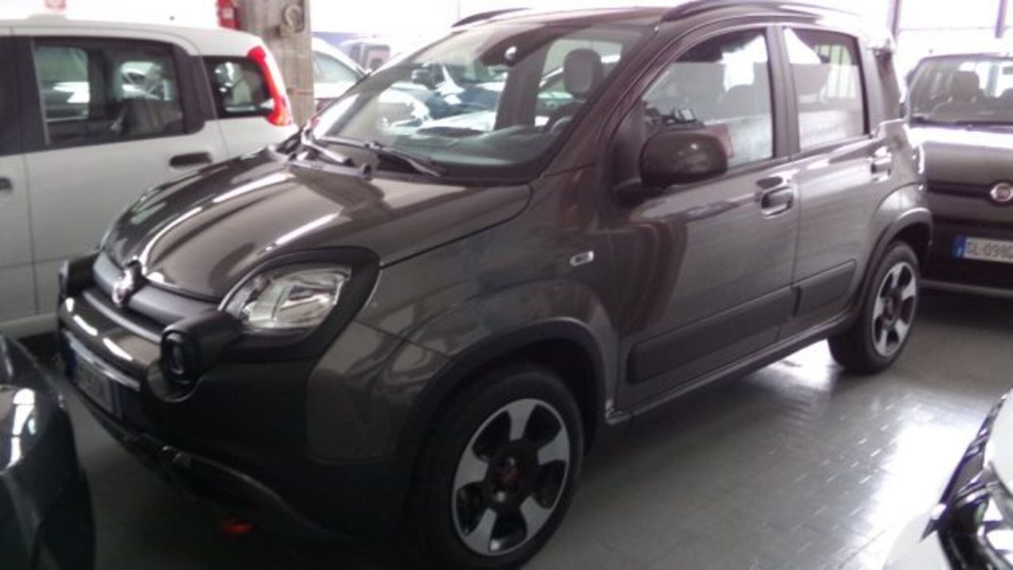 Fiat Panda Cross 1.0 firefly hybrid Cross s&amp;s 70cv 5p.ti del 2023 usata a Cesena