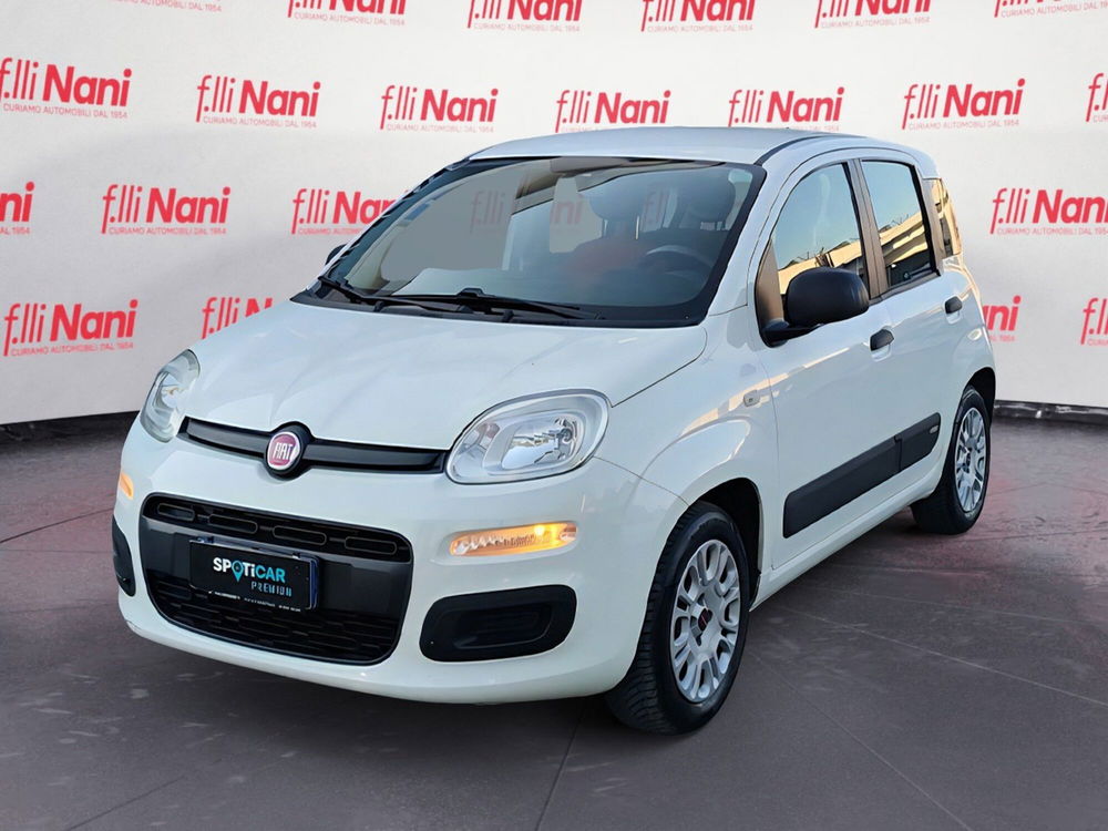 Fiat Panda usata a Massa-Carrara