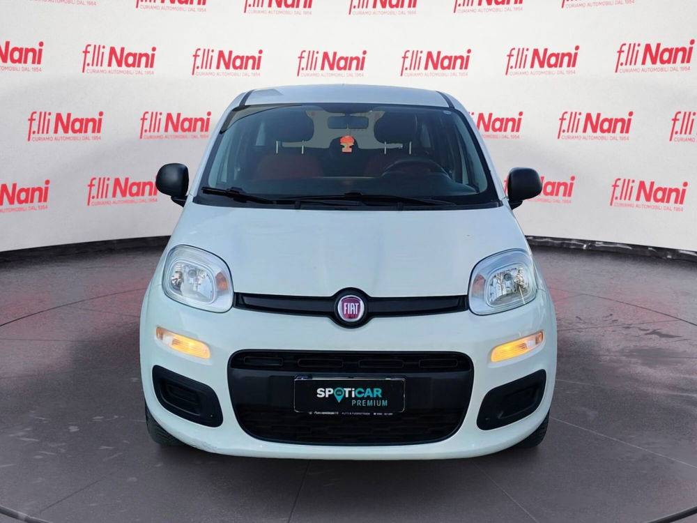 Fiat Panda usata a Massa-Carrara (3)