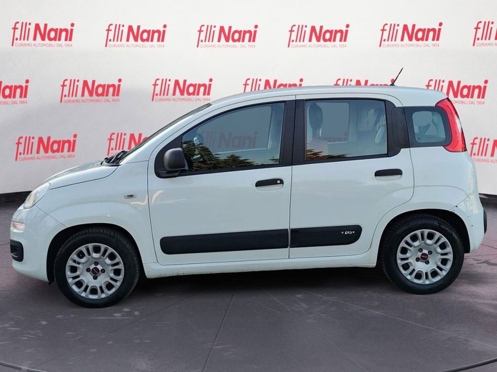 Fiat Panda usata a Massa-Carrara (8)