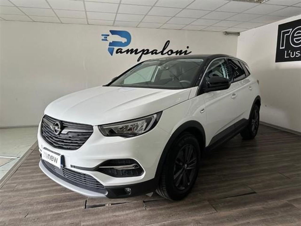 Opel Grandland X usata a Siena (2)