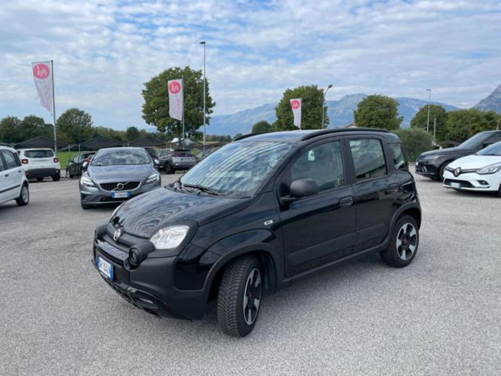 Fiat Panda usata a Pordenone (2)