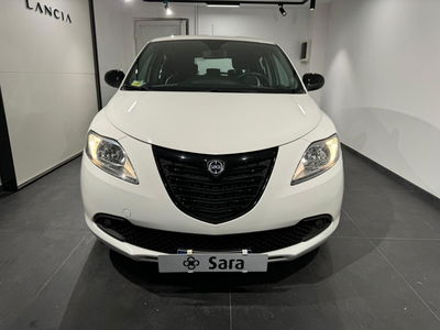 Lancia Ypsilon 1.2 69 CV 5 porte Silver  del 2014 usata a Benevento