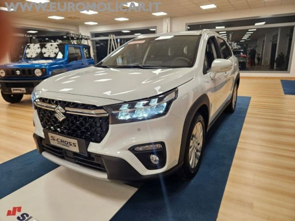 Suzuki S-Cross nuova a Campobasso (3)