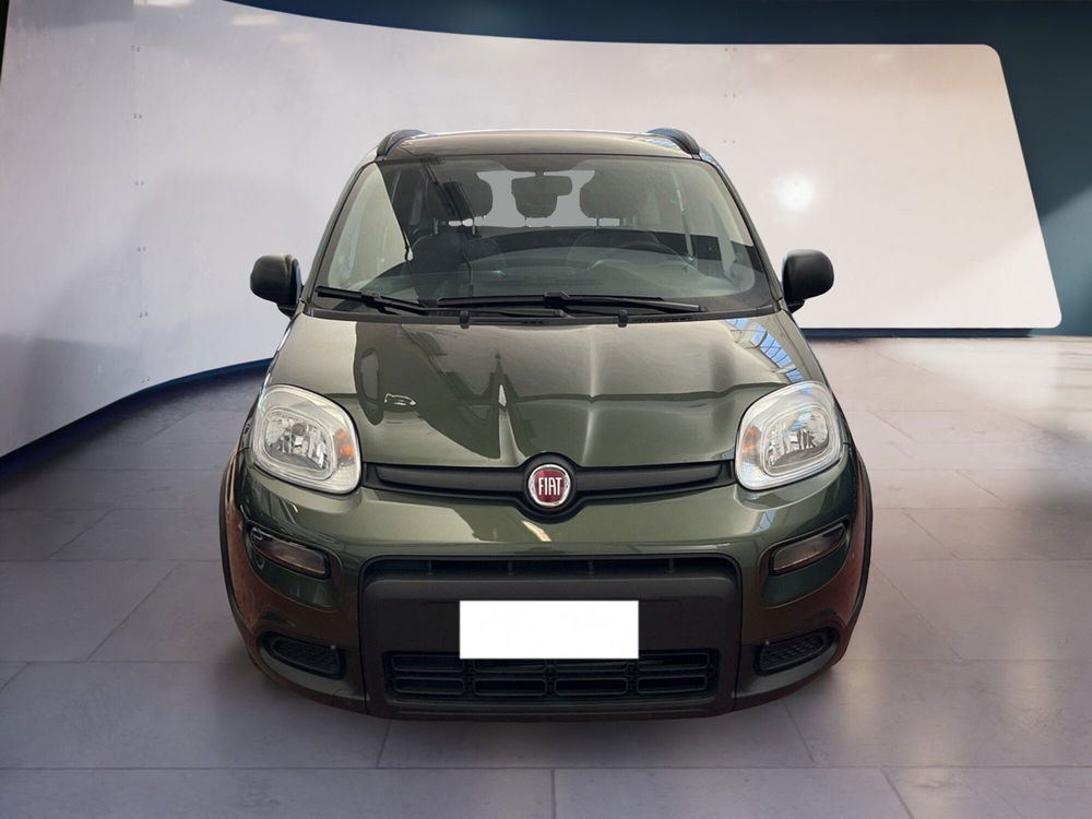 Fiat Panda usata a Torino