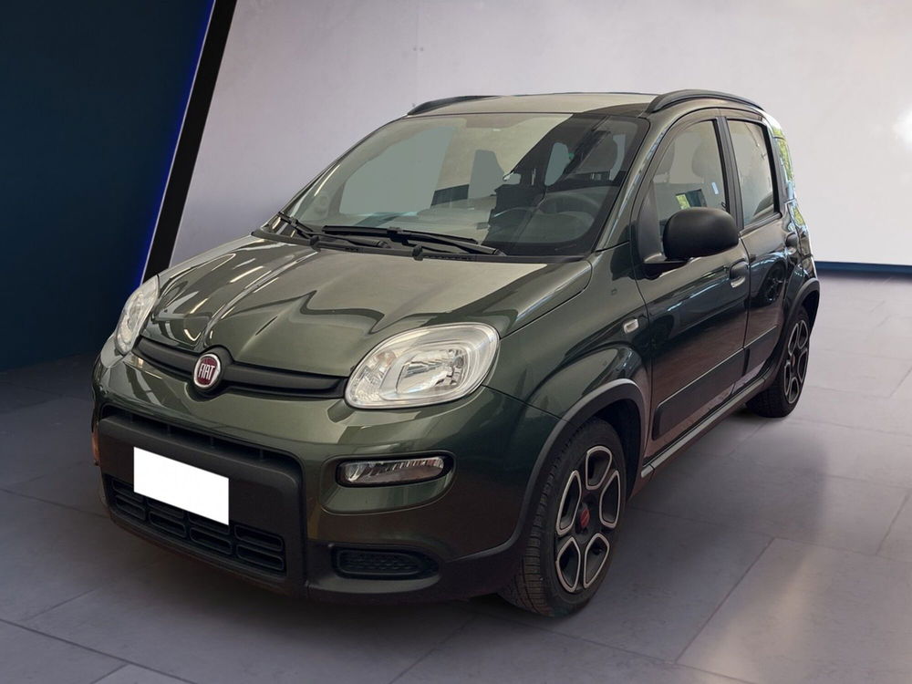 Fiat Panda usata a Torino (2)