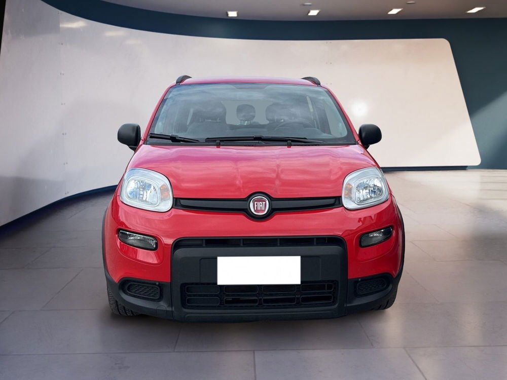 Fiat Panda usata a Torino