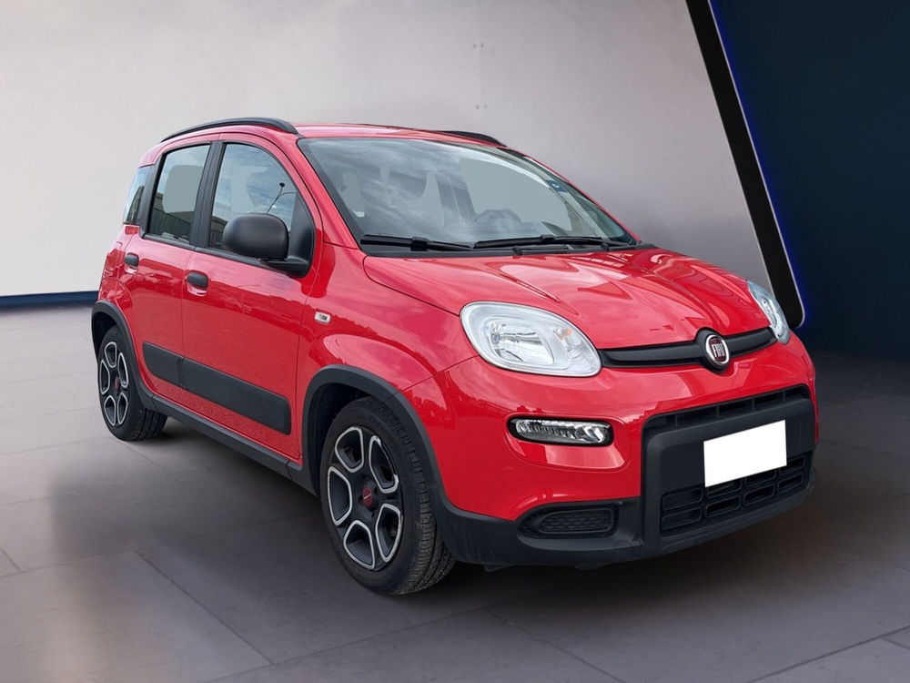 Fiat Panda usata a Torino (2)