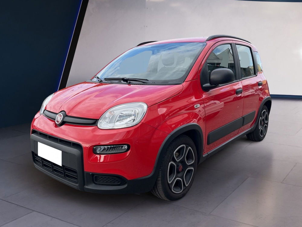 Fiat Panda usata a Torino (3)