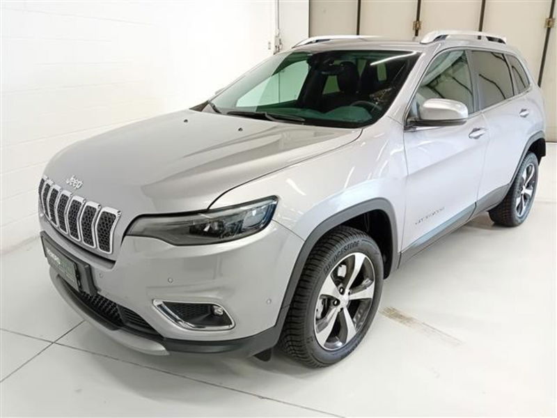 Jeep Cherokee 2.2 Mjt II 4WD Active Drive I Limited  del 2019 usata a Sesto San Giovanni