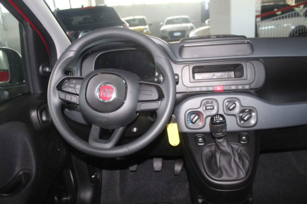 Fiat Panda nuova a Terni (11)