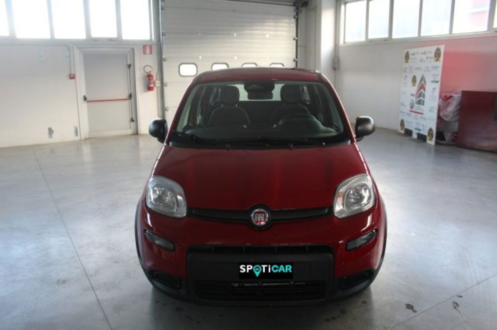 Fiat Panda nuova a Terni (2)