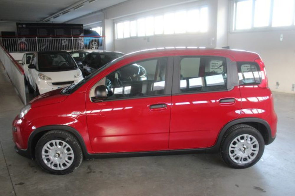 Fiat Panda nuova a Terni (3)