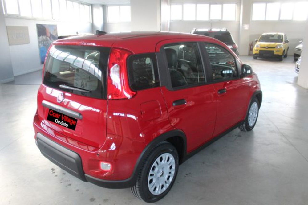 Fiat Panda nuova a Terni (4)