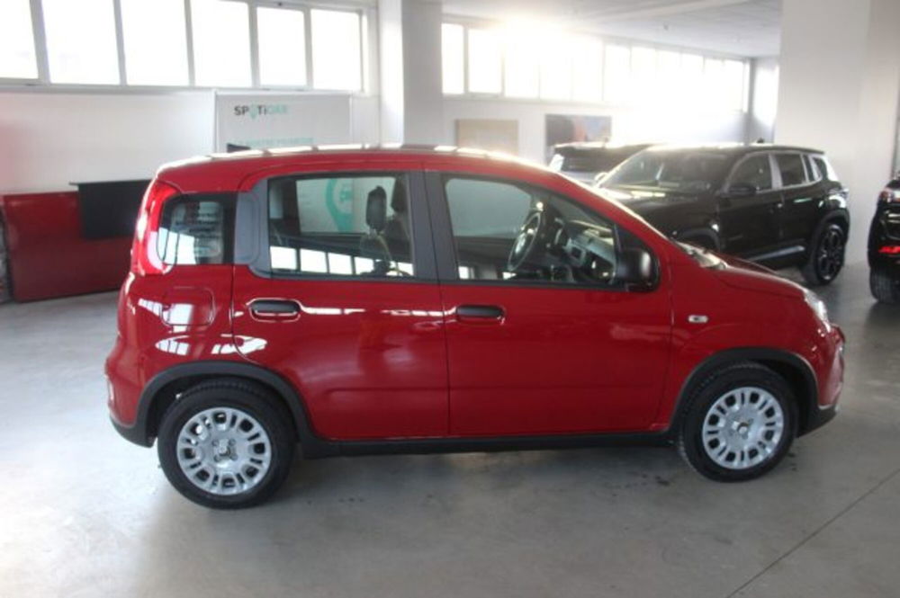 Fiat Panda nuova a Terni (6)