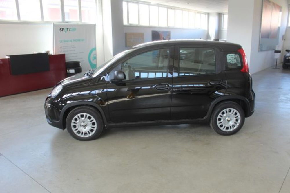 Fiat Panda nuova a Terni (3)