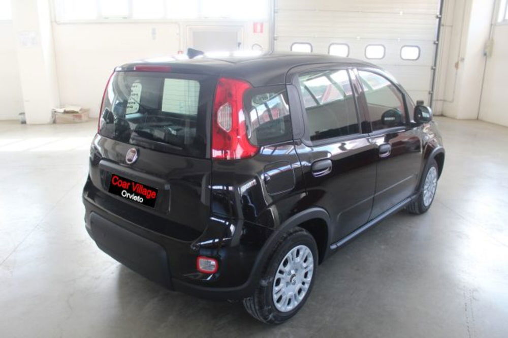 Fiat Panda nuova a Terni (4)