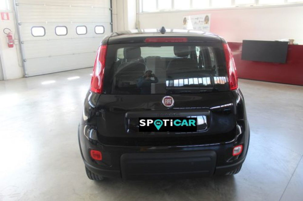 Fiat Panda nuova a Terni (5)