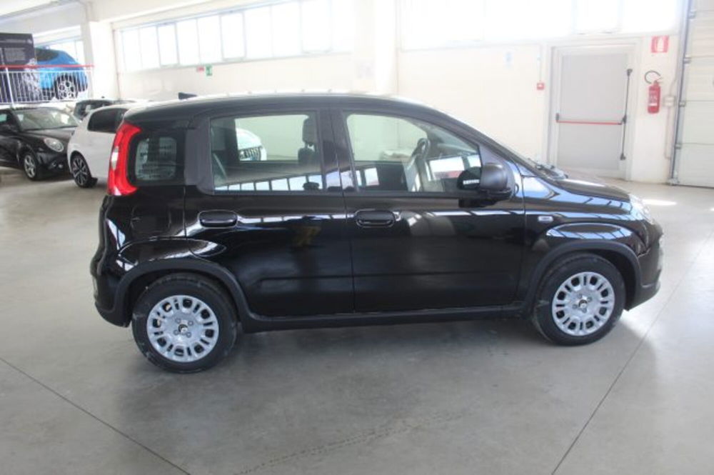 Fiat Panda nuova a Terni (6)