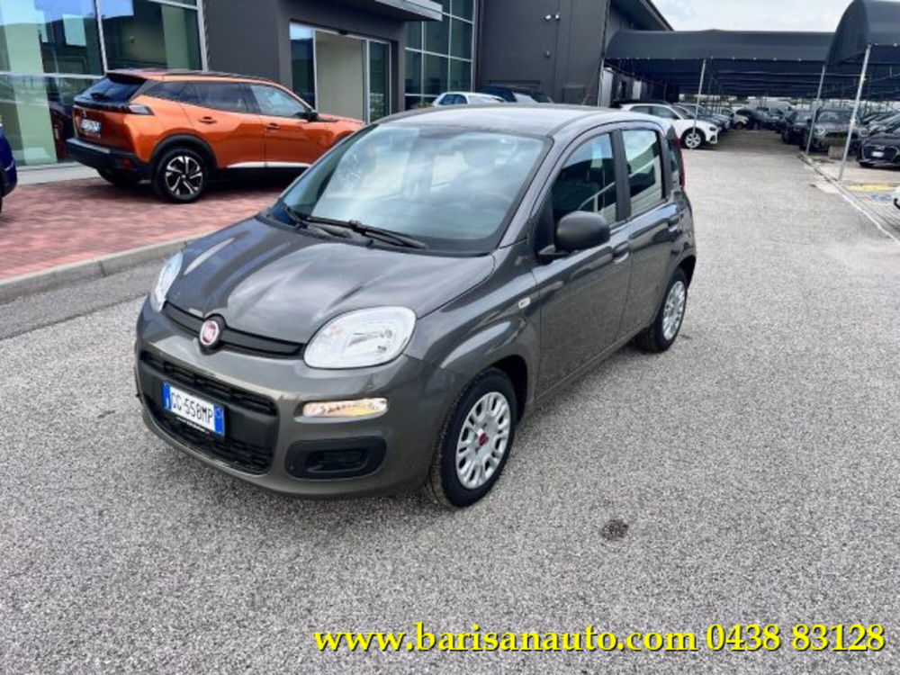 Fiat Panda usata a Treviso