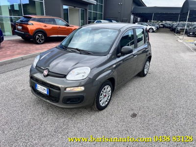 Fiat Panda 1.0 firefly hybrid s&amp;s 70cv 5p.ti del 2021 usata a Pieve di Soligo