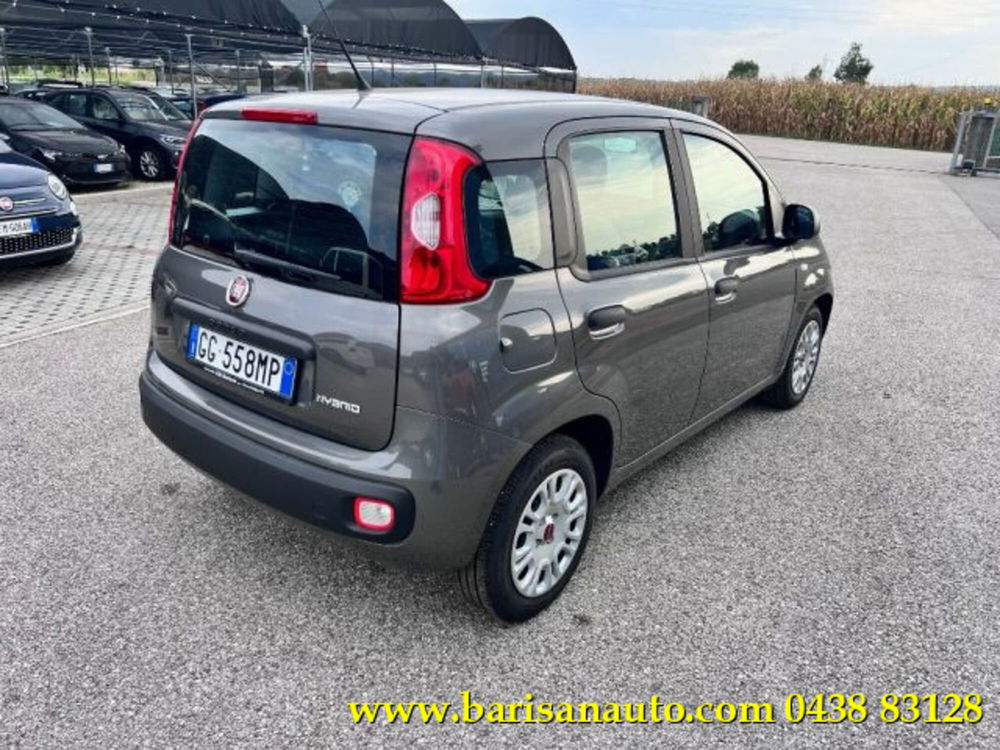 Fiat Panda usata a Treviso (3)