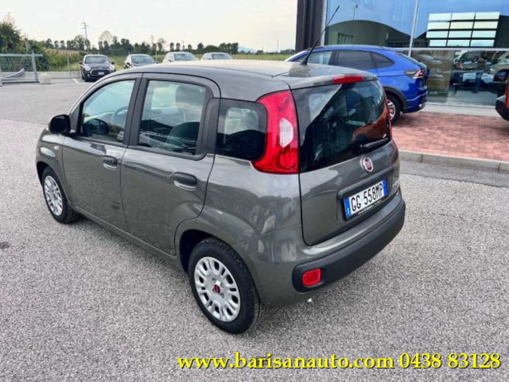 Fiat Panda usata a Treviso (4)