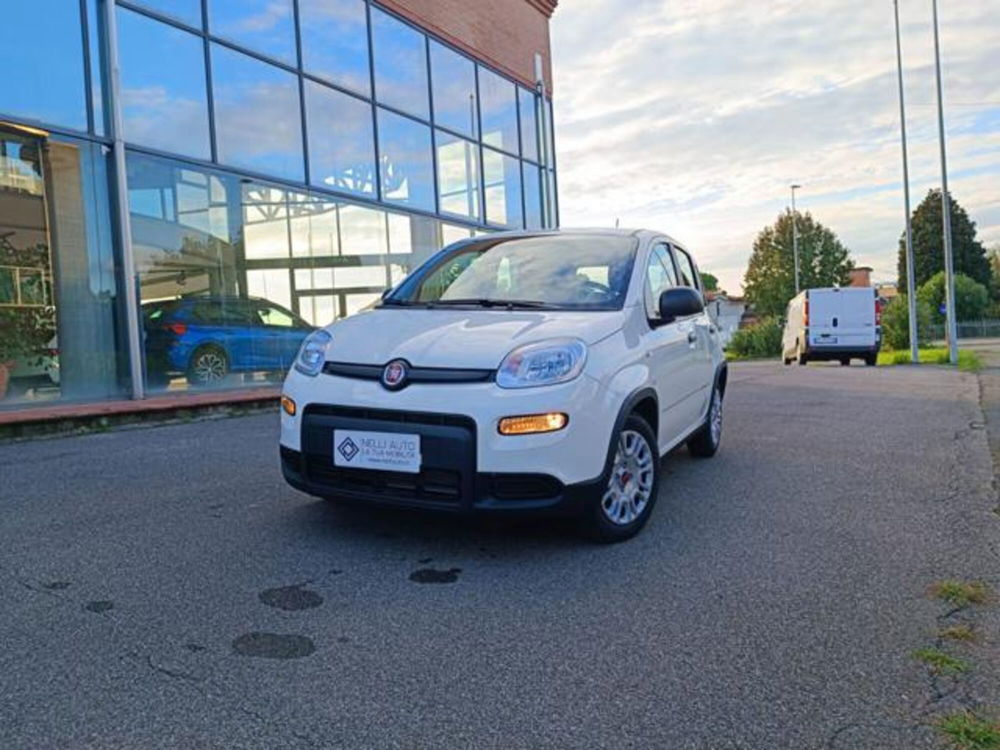 Fiat Panda nuova a Pisa