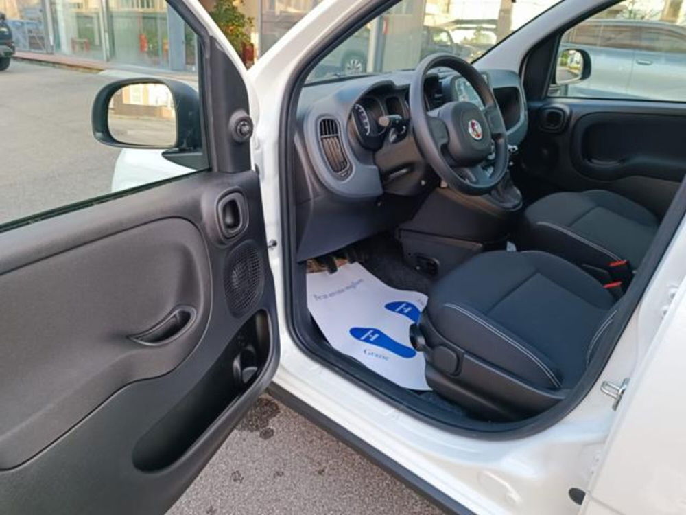 Fiat Panda nuova a Pisa (12)