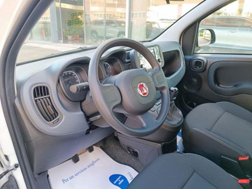 Fiat Panda nuova a Pisa (14)